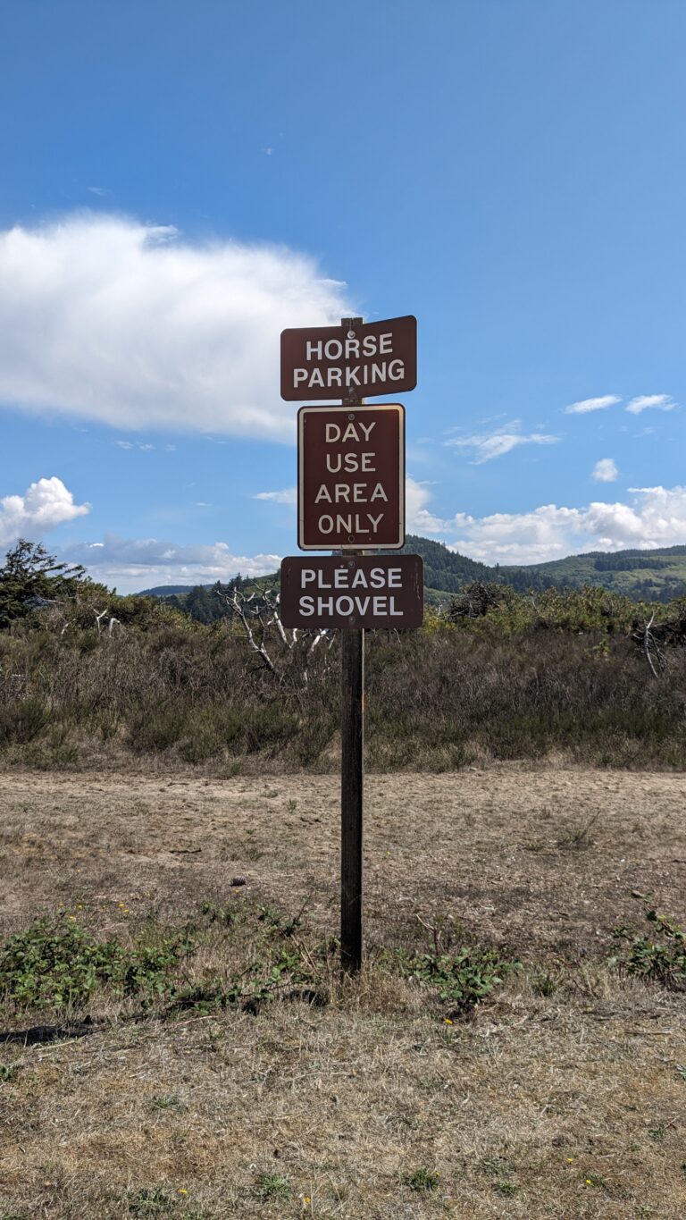 USA Vanlife