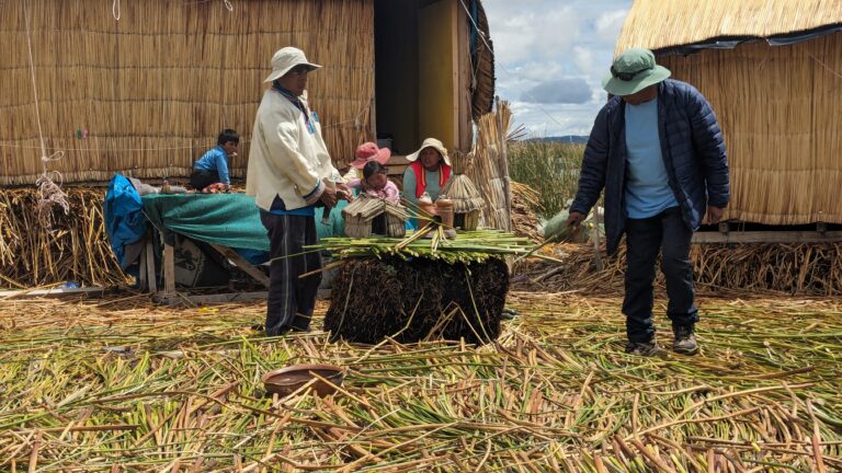 Uros Insel