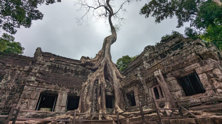 Ta Prohm